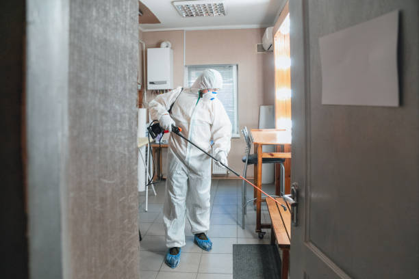 Best Commercial Mold Inspection  in Minor, AL