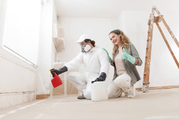 Best Mold Damage Restoration  in Minor, AL